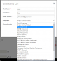 Adding commitments Create External User window 7.8.png